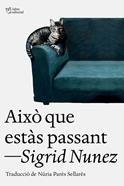Això que estàs passant | 9788412925739 | Nunez, Sigrid | Librería Sendak