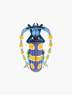 STUDIO ROOF Rosalia Beetle | 8718164513541 | Llibreria Sendak