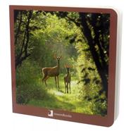 Animals del bosc | 9788494174599 | Martín Martínez, David | Librería Sendak