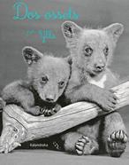 Dos ossets | 9788418558283 | Ylla | Llibreria Sendak