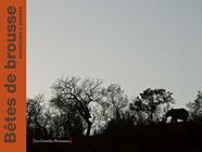 Bêtes de brousse | 9782361932176 | Andréadis, Ianna / Bordas, Frank | Llibreria Sendak