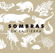 Sombras en la tierra | 9999900011135 | Zwimpfer, Gerhild | Llibreria Sendak