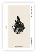 Museo negro | 9788412743142 | Negroni, María | Llibreria Sendak