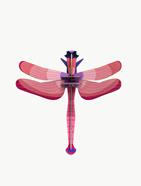 STUDIO ROOF Ruby Dragonfly | 8718164518881 | Llibreria Sendak