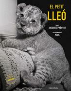 El petit lleó | 9788410387102 | Prévert, Jacques | Llibreria Sendak