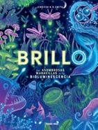 Brillo | 9786075579313 | Smith, Jennifer | Llibreria Sendak