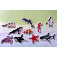 Magnètics Animals Marins | 9999900004908 | Librería Sendak