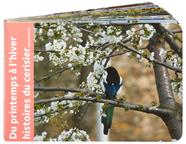 Du printemps à l'hiver | 9782361935634 | Andréadis, Ianna | Llibreria Sendak