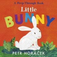 Little Bunny | 9781529517354 | Horácek, Pter | Llibreria Sendak