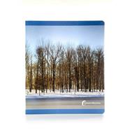 Invierno | 9788412960563 | NOWORDBOOKS | Llibreria Sendak