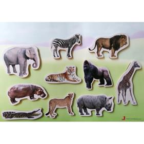 Magnètics Animals Salvatges | 9999900004915 | Llibreria Sendak