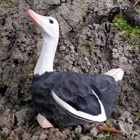 WUDIMALS Estruç (41000) | 701575410002 | Llibreria Sendak