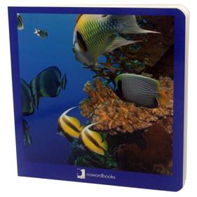 Animals marins | 9788494295607 | Martín Martínez, David | Llibreria Sendak