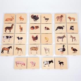 TICKIT Fichas animales domésticos | 5060138829114 | Llibreria Sendak