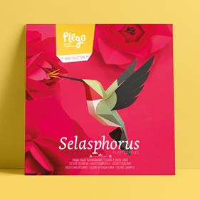 Plego Selasphorus platycerus (Colibrí) | 8436043720193 | Librería Sendak