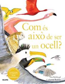 Com és això de ser un ocell? | 9788410048102 | Birkhead, Tim/Rayner, Catherine | Librería Sendak