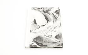 Le voyage céleste extatique | 9782383870166 | Vuillier, Clément | Librería Sendak