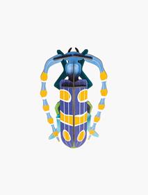 STUDIO ROOF Rosalia Beetle | 8718164513541 | Llibreria Sendak