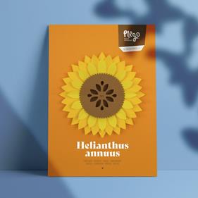 Plego Helianthus annuus | 8436043721480 | Librería Sendak