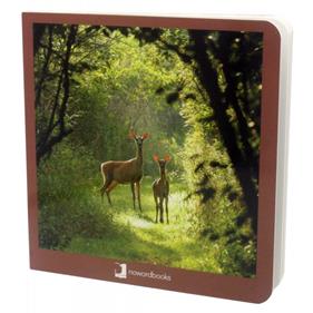 Animals del bosc | 9788494174599 | Martín Martínez, David | Librería Sendak