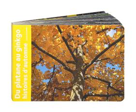 Du platane au ginkgo | 9782361936396 | Andréadis, Ianna | Llibreria Sendak