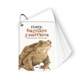 Fíjate: reptiles y anfibios | 9788410407596 | Sanjuan Llorens, Anna/Nogués, Alex | Llibreria Sendak