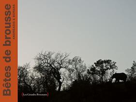 Bêtes de brousse | 9782361932176 | Andréadis, Ianna / Bordas, Frank | Librería Sendak