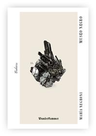 Museo negro | 9788412743142 | Negroni, María | Librería Sendak