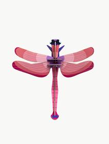 STUDIO ROOF Ruby Dragonfly | 8718164518881 | Llibreria Sendak