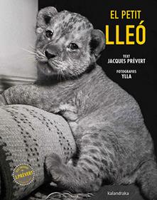 El petit lleó | 9788410387102 | Prévert, Jacques | Llibreria Sendak