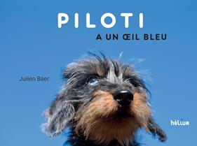 Piloti a un œil bleu | 9782330165710 | Baer, Julien | Llibreria Sendak