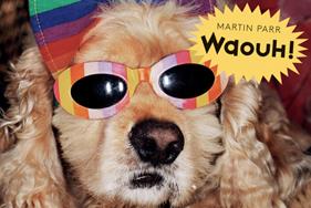 Waouh! | 9782361938048 | Parr, Martin | Librería Sendak