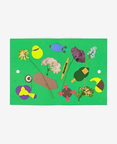 Herbier | 9791090475281 | Mellier, Fanette | Llibreria Sendak