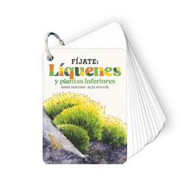Fíjate: líquenes y plantas inferiores | 9788410407619 | Sanjuan Llorens, Anna/Nogués, Alex | Llibreria Sendak