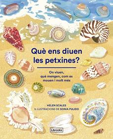 Què ens diuen les petxines? | 9788412826500 | Scales, Helen | Librería Sendak
