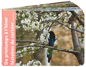 Du printemps à l'hiver | 9782361935634 | Andréadis, Ianna | Llibreria Sendak