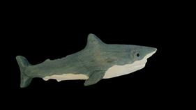 WUDIMALS Tauró (40805) | 701575408054 | Librería Sendak