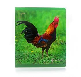 Animals de granja (format gran) | 9788412344547 | AA.VV. | Llibreria Sendak