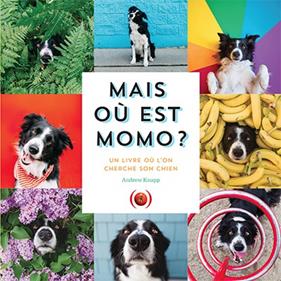 Mais où est Momo? | 9782361935177 | Knapp, Andrew | Llibreria Sendak