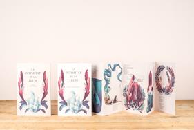 La intimitat de la llum | 9788494958021 | DIAZ JENN/ CAPDEVILA, GEMMA | Llibreria Sendak