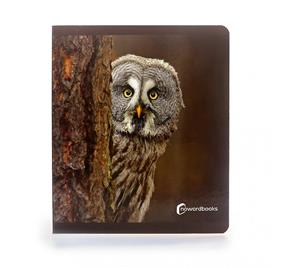 Animals del bosc (format gran) | 9788412344578 | Llibreria Sendak