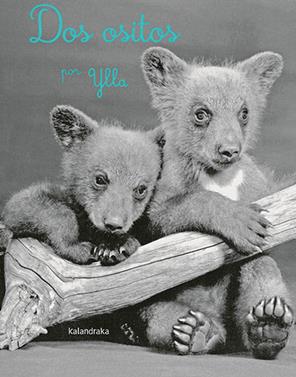 Dos ositos | 9788413431161 | Ylla | Llibreria Sendak
