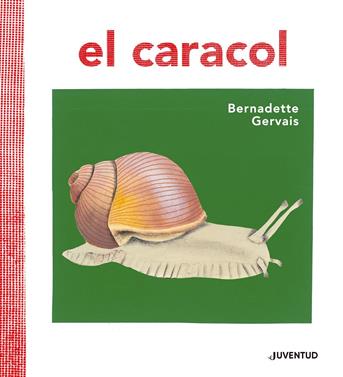 El caracol | 9788426145673 | Gervais, Bernadette | Llibreria Sendak