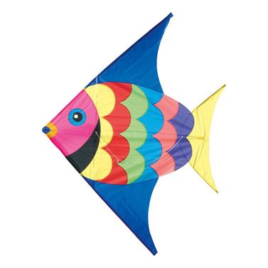Fish Kite | 3048700029324 | Llibreria Sendak