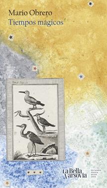 Tiempos mágicos | 9788433922946 | Obrero, Mario | Llibreria Sendak