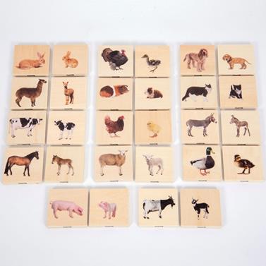 TICKIT Fichas animales domésticos | 5060138829114 | Llibreria Sendak