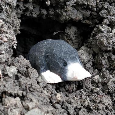 WUDIMALS Talp (40703) | 701575407033 | Librería Sendak