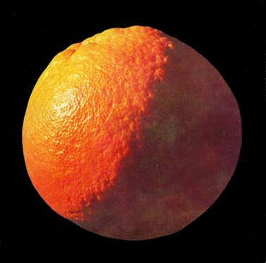 Good design | 9788886250795 | Munari, Bruno | Librería Sendak