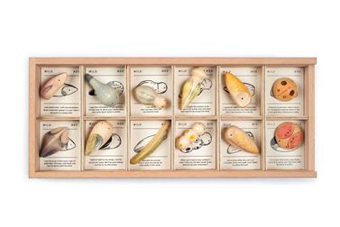 GRAPAT Wild | 8436580871396 | Llibreria Sendak