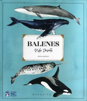 Balenes. Vida secreta | 9788412247954 | Ortega, Rena | Llibreria Sendak
